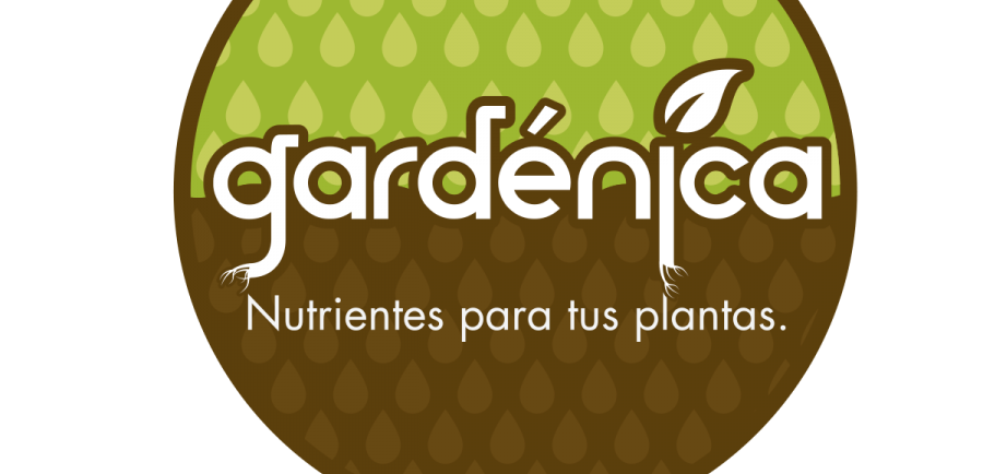 Lanzamientos Gardénica 